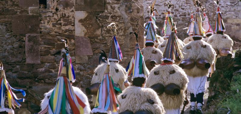 Carnavales en Navarra